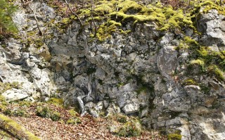 什么样的隐形更自然，什么隐形比较好